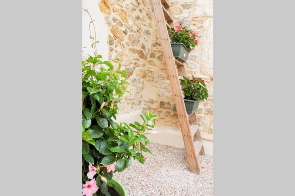 Mailhac La Porte Du Midi מראה חיצוני תמונה